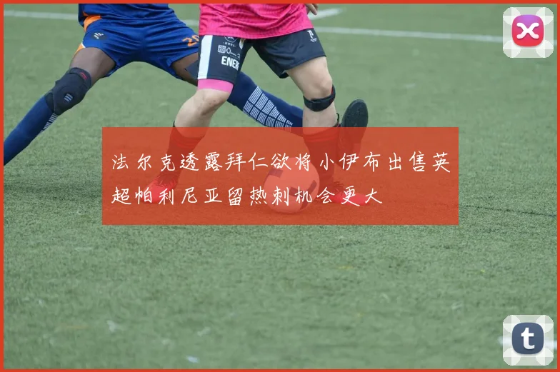 法尔克透露拜仁欲将小伊布出售英超帕利尼亚留热刺机会更大