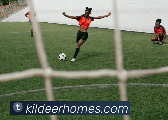 电竞数据